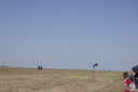 EDSC_0160_2820029.jpg