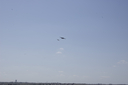 EDSC_0160_282029.jpg