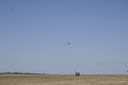 EDSC_0160_2820429.jpg