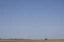 EDSC_0160_2820529.jpg