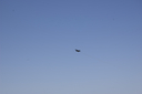 EDSC_0160_2820629.jpg