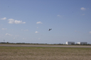 EDSC_0160_2826729.jpg