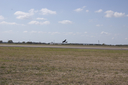 EDSC_0160_2827229.jpg