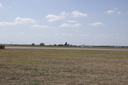 EDSC_0160_2827329.jpg