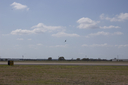 EDSC_0160_2828729.jpg