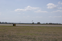 EDSC_0160_2829129.jpg