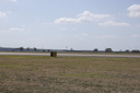 EDSC_0160_2829229.jpg