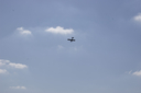 EDSC_0160_2832629.jpg