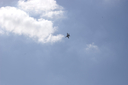 EDSC_0160_2836429.jpg