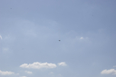 EDSC_0160_2836929.jpg