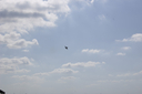 EDSC_0160_2837529.jpg