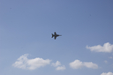 EDSC_0160_2837829.jpg
