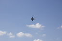 EDSC_0160_2837929.jpg