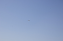 EDSC_0160_283829.jpg