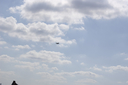 EDSC_0160_2840629.jpg