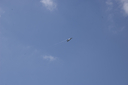EDSC_0160_2841129.jpg