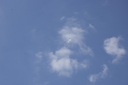 EDSC_0160_2841329.jpg