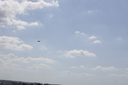 EDSC_0160_2841829.jpg