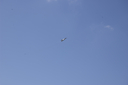 EDSC_0160_2842329.jpg