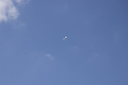 EDSC_0160_2842429.jpg