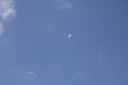 EDSC_0160_2842529.jpg