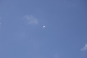 EDSC_0160_2842629.jpg