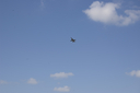 EDSC_0160_2846229.jpg