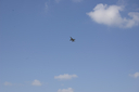 EDSC_0160_2846329.jpg