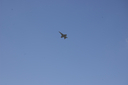 EDSC_0160_2846429.jpg