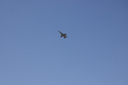 EDSC_0160_2846529.jpg