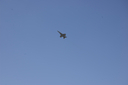 EDSC_0160_2846629.jpg