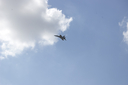 EDSC_0160_2846929.jpg