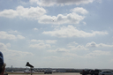 EDSC_0160_2848029.jpg