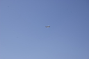 EDSC_0160_286129.jpg